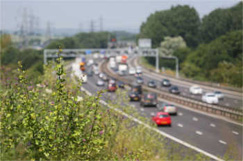 Highways Engand to set new baselines for its environment targets image