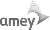Milner named as new CEO of Amey image