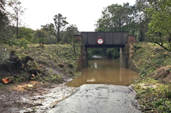 Campaigners raise alarm at work on paused bridge infilling programme image