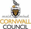 Cornwall finds an extra £2.5m for road repairs image