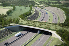 Elderkin calls for more green bridges across SRN image