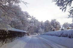Highways launches winter service public engagement survey image