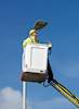Installation of LED street lights gets underway in Wirral image