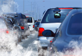 Legal experts debate Government liability for toxic air deaths image