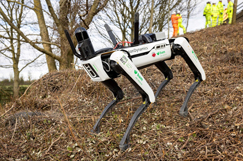 Robotic dog used to hunt down geotechnical surveys image