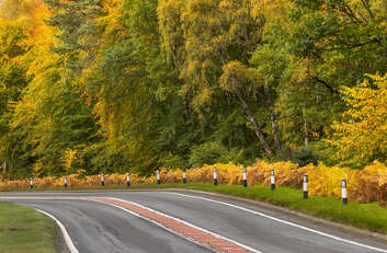 Scotland seeking contractors for £1.4bn trunk road contracts image
