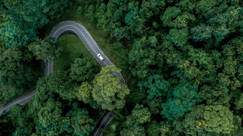 Comment: Shifting gears on decarbonisation